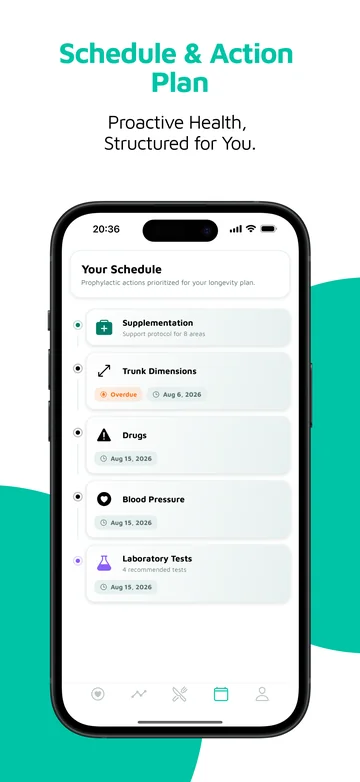 Your plan: measurements, tests and next steps